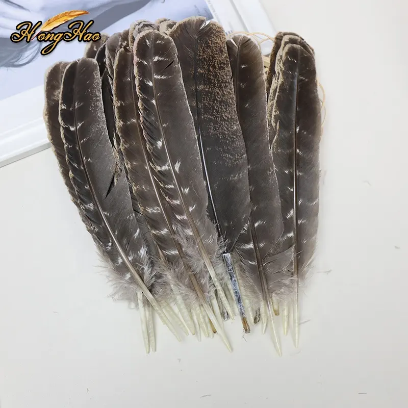 Wholesale Natural Barred Wing Smudge Sage DIY Feathers Turkey Feather Cloth Skirt Dress Hats Bags Crafts Decoration Raw Pattern