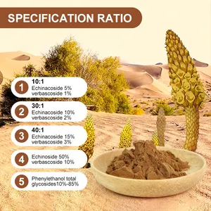 Extracto de Cistanche Tubulosa, extracto en polvo de Echinacoside 15% Verbacoside 3%