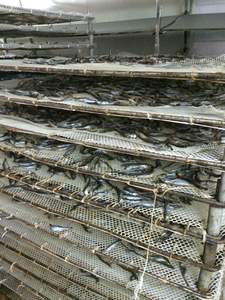 Máquina Deshidratadora Eléctrica para Carne, Secado de Carne, Ahumador de Pescado, Secador de Biltong, Secador de <span class=keywords><strong>Sardinas</strong></span> - Product Image 6