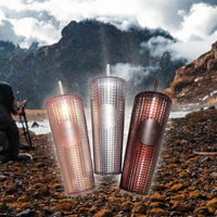 Gobelet en plastique à double paroi isolé de 24 oz avec couvercle et paille, idéal pour le café et les jus