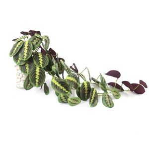 ใบ <span class=keywords><strong>Calathea</strong></span> สีเขียวยาว85ซม. แบบสัมผัสจริงสำหรับการตกแต่งดอกไม้ - Product Image 5