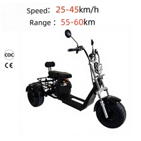 Scooter électrique Citycoco HT5 2000W à 3 roues, pneus larges, batterie lithium 60V 12Ah, étanche, 45 km/h, démarrage à une touche, 150 kg, double