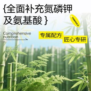 Soluzione Nutritiva a Iniezione Diretta Specifica per Bambù, Regola la Crescita delle Piante e Mantiene la Lucentezza delle Foglie - Product Image 3