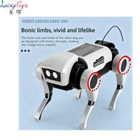 Kit STEM Chien-Renard Robot Électrique Transformable DIY – Jouet Scientifique Éducatif à Assembler avec Têtes Interchangeables pour Enfants (Intérieur/Extérieur)