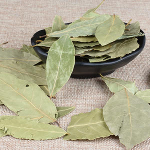 Zhengzhonghe Natuurlijke Kruiden Gedroogd Laurierblad Hele Laurierblaadjes Uit Guangxi China-24 Maanden Houdbaar Om Te Koken - Product Image 2