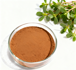 工場供給 天然健康補助食品 ハーバ・ポルチュラケエ・エキス/ポルチュラカ・オレラセア・L.エキス粉末 - Product Image 1