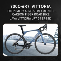VITTORIA ER7 Aero Aerodinamik Entegre Karbon Kadrolu 700C Disk Frenli Yol Bisikleti Karbon Fiber Bisiklet