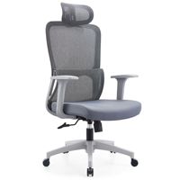 Chaise de bureau ergonomique en maille respirante, réglable en hauteur, pivotante, contemporaine, multicolore, économique