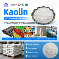 Poudre d'argile kaolin de qualité industrielle pour peintures, revêtements, céramiques, papier et caoutchouc