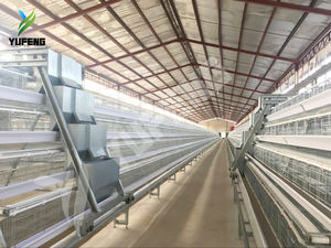 กรงไก่และกรงนกกระทาอัตโนมัติคุณภาพสูง รุ่นใหม่ ทำจากสแตนเลส สำหรับไก่ไข่ ความจุ 90-160 ตัว 3-4 ชั้น - Product Image 5