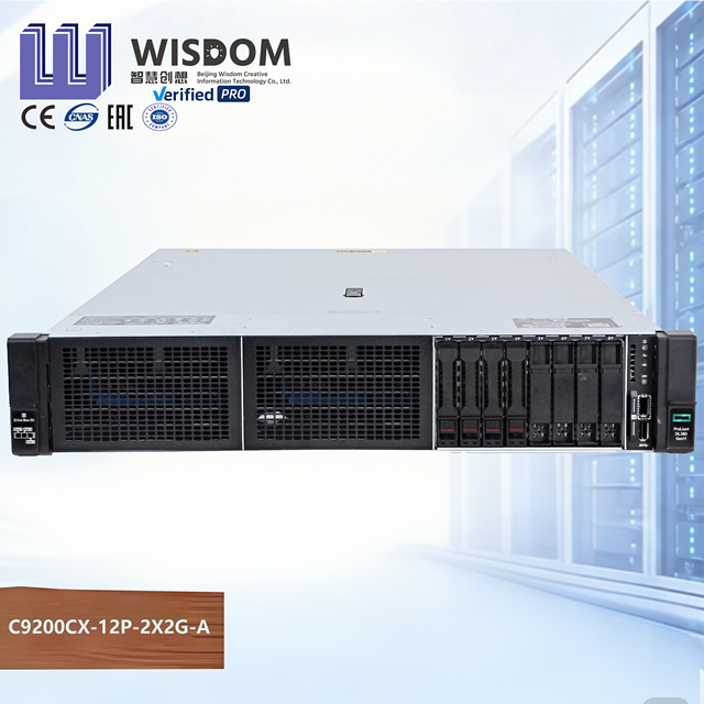 Original HPE ProLiant DL380 Gen11 2U Enterprise Server High Performance Storage Rack Server in Stock