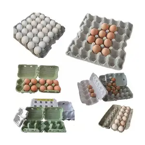 Plateau à œufs de noël, machine à carton, pâte à papier, plateau à œufs recyclé, fabrication, ligne de machine