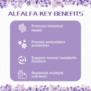 แคปซูลสารสกัดจากอั<span class=keywords><strong>ล</strong></span>ฟั<span class=keywords><strong>ล</strong></span>ฟ่า - อาหารเสริมสำหรับนักกีฬา ช่วย<span class=keywords><strong>ล</strong></span>ดความเหนื่อย<span class=keywords><strong>ล</strong></span>้า เสริมอิเ<span class=keywords><strong>ล</strong></span>็กโทรไ<span class=keywords><strong>ล</strong></span>ต์ และช่วยฟื้นฟูร่างกายหลังออกกำลังกาย - Product Image 4