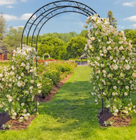 Arche de jardin en fer forgé avec treillis, cadre métallique pour mariage avec décorations sculptées, support extérieur pour décoration de fête de mariage, support pour roses grimpantes