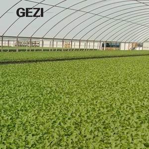 Rau trái cây vườn nho nông nghiệp trang trại nhà kính siêu tốt bọ trĩ whitefly lưới chống côn trùng Lưới Net nhà sản xuất Trung Quốc - Product Image 2