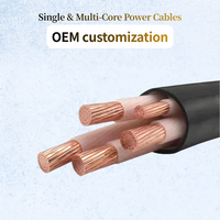 Cable de Alimentación NYY 5x16mm 30A IP68 YJV/U1000 de Bajo Voltaje con Aislamiento XLPE y Conductor de Cobre Libre de Oxígeno con Revestimiento de PVC
