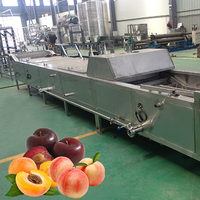 Industriële Fruitpuree Jam Maken Machine Abrikozenproductielijn