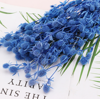 Coffret Cadeau de Fleurs Éternelles pour Amateurs de Fleurs : Petite Boîte de Conservation de Céleri Épineux avec Fleurs pour la Décoration Intérieure et les Occasions de Remise de Diplôme