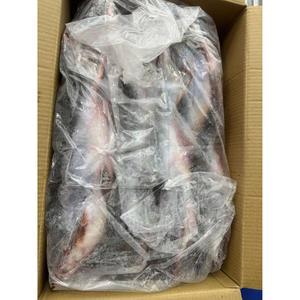 Super Whole Round Pangasius Fish Vida útil 24 meses de Vietnam Frozen Basa Fish Wholesale - Product Image 5