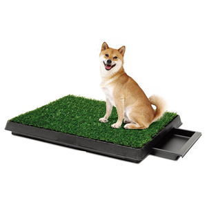 Portátil 20*30 Polegada Eco-Friendly Artificial Turf Carpet Plastic <span class=keywords><strong>Dog</strong></span> <span class=keywords><strong>Toilet</strong></span> Tapete De Grama Sintética para Uso Interior e Exterior - Product Image 1