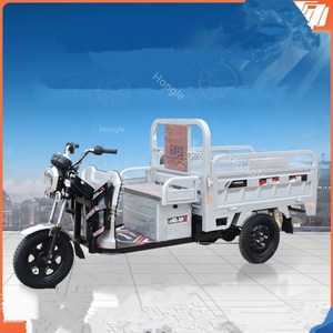 Multifunctional 800W Tricycles With Roof 3 Wheels Dirt <b>Bike</b> Adult Motorcycles Tricycles 800w - Product Image 4