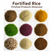 Machine extrudeuse automatique de riz fortifié nutritionnellement à base de maïs blanc, ligne de production de riz instantané pour porridge