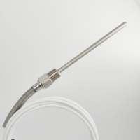 Waterproof Threaded RTD Thermocouple Sensor OEM ODM Custom Stainless Steel PT100 PT1000 3-Wire with Thermowell Tri-Clamp