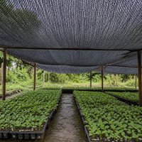 Filet d'ombrage noir agricole, filet pare-soleil respirant pour serre, filet de protection anti-UV en rouleau