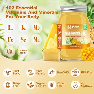 OEM ODM Marque privée Complexe de soutien immunitaire digestif à l'arôme biologique Vitamines Minéraux Suppléments antioxydants Mousse de mer Adulte - Product Image 5