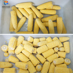 Línea Automática de Procesamiento de Maíz Dulce, Lavadora, Cortadora, Máquina de Envasado al Vacío 1-2t/h, Fábrica de Producción de Maíz Dulce Personalizada - Product Image 4