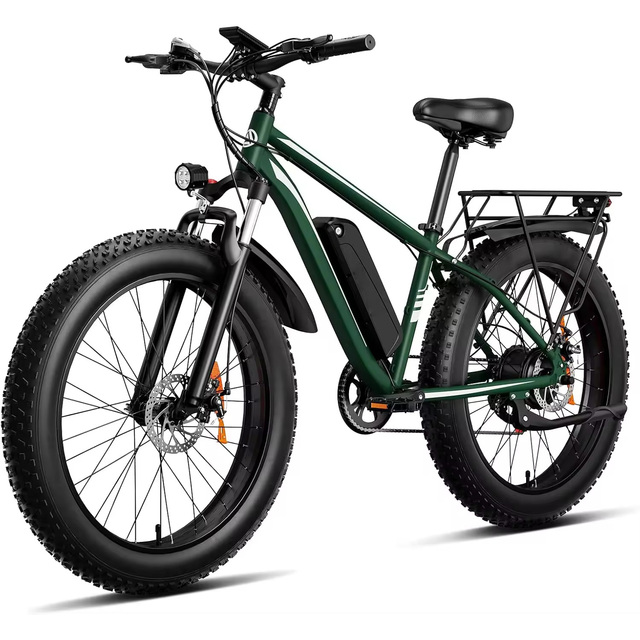 USA Stock OEM Fat Tire Ebike 48v Lithium Battery Elektrisches Fahrrad Electric Bicycle Power City Road Mountain Electric Bike
