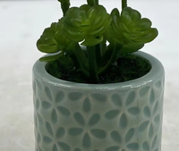 Mini-plante artificielle d'intérieur : Cactus et Aloès en pot, haute simulation, écologique, pour décorations de mariage, Thanksgiving, Nouvel An - En stock