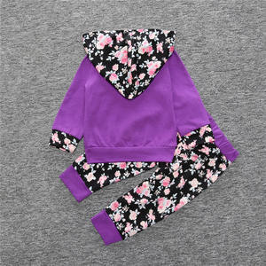 Ventes en gros de sweats à capuche pour bébés, 2 pièces, ensemble de vêtements de qualité pour filles et enfants - Product Image 4