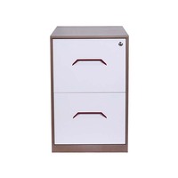 Muebles de Oficina, Archivador de Acero con 2 Cajones, Archivador Vertical de Metal para Documentos