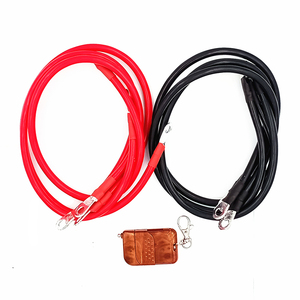 5000W 10000W High Frequency Pure Sine Wave 12V-48V to 110V-230V AC with Remote Controller PASS POWER - Product Image 6