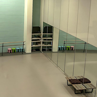 Professioneller Indoor PVC-Vinyl-Sportboden Kunststoffboden für Tanzstudio Ballett-Trainingsraum Kommerzieller Tanzunterricht