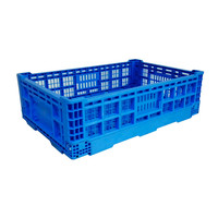 Promotion : Caisses bleues en PP perforé robustes, à mailles larges, pliables, empilables, pour fruits et légumes, Enlightenment