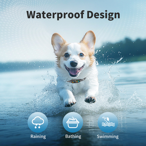 मिनी रिचार्जेबल डॉग छाल कॉलर दोहरी सेंसर सुरक्षित स्टॉप विरोधी झूठी कंपन प्रशिक्षण छाल नियंत्रण एंटीलाडिडो - Product Image 5