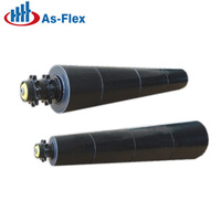 Rouleau de convoyeur en acier inoxydable AS-FLEX avec roulements, rouleau de transport industriel pour système de convoyage