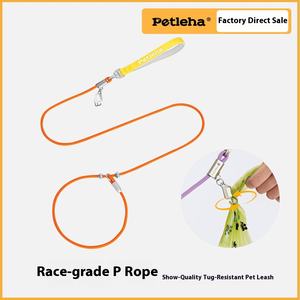 Integrierte kleine Hundeleine und umweltfreundliches klassisches Haustierhalsband mit festem Muster aus Polyester und Handleine - Product Image 3