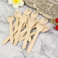 Cuillère jetable en bois de bouleau naturel, biodégradable, finition lisse, matériau compostable, pour la restauration rapide et les camions de nourriture à emporter