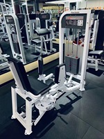 Machine de musculation multifonctionnelle commerciale en acier réglable pour extensions dorsales et abdominaux