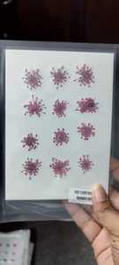 สติ๊กเกอร์ติดเล็บลายดอกไม้แห้งแบบกดติด 3 มิติ ลายดอกไม้จริง สำหรับตกแต่งเล็บ - Product Image 4
