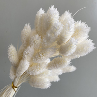 Fleurs de glycine blanchies, fleurs séchées et préservées de couleur blanche, fleurs d'amarante et de fougère pour bouquet de mariage, décoration murale et intérieure