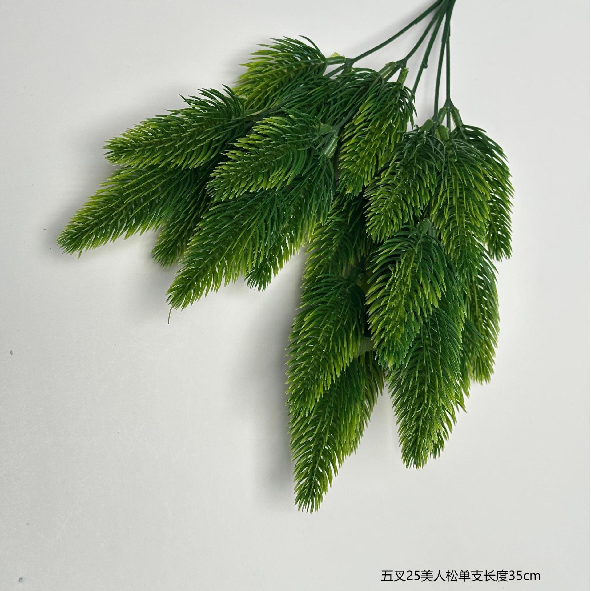 Beauty pine