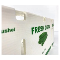 Boîtes d'Emballage de Gros pour Fruits et Légumes Frais en PP Plastique Ondulé, Caisses de Manutention pour Okra Empilables en PP Alvéolaire pour Expédition