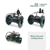 Válvulas de Control Hidráulicas Metálicas de 3 Pulgadas con Brida Serie 90 de la Mejor Calidad, Marca Española, Estructura de Diafragma, Electrovalvula para Riego 1