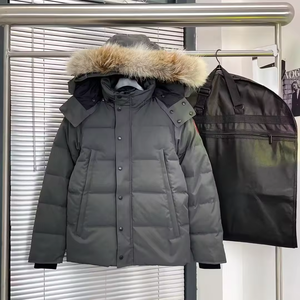 Veste d'hiver tendance pour femmes et hommes, veste de loisirs, veste sénateur, en duvet d'oie, veste à capuche en duvet d'oie, vente chaude - Product Image 2