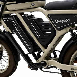 Mobilco <b>Electric</b> City <b>Bike</b> 14 48V 750W Brushless <b>Motor</b> Lithium Battery Dual Suspension Display Steel Frame 3 Speed Drum Brake - Product Image 3