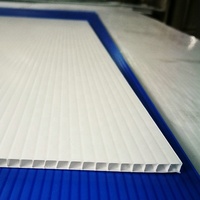 Plaques en plastique PP ondulé écologiques de haute qualité pour emballage, découpe, boîtes publicitaires, taille personnalisée, matériau vierge